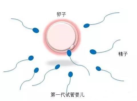 林医師